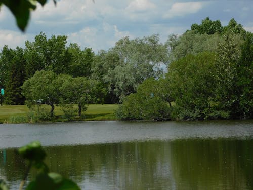 doğa, Su, yeşil ağaçlar içeren Ücretsiz stok fotoğraf
