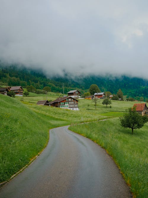 Základová fotografie zdarma na téma cestování, denní světlo, dřevo