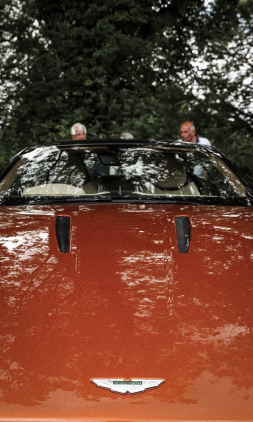 Fotobanka s bezplatnými fotkami na tému aston martin, auto, auto show