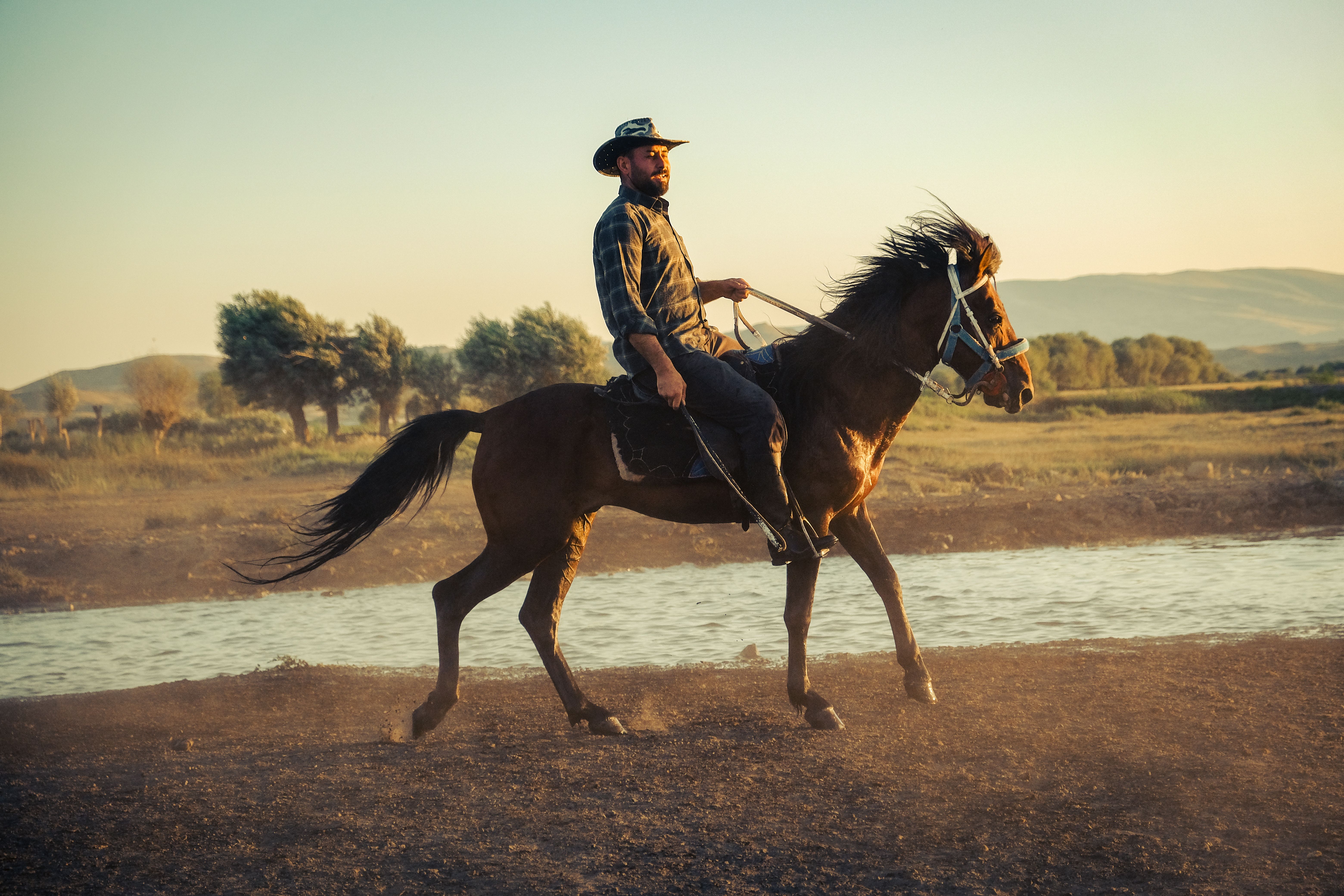 UF adds Western canon-focused courses to general education — Photo by Zeynep Sude  Emek on Pexels