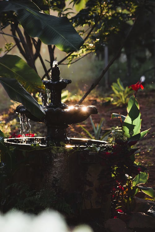 Darmowe zdjęcie z galerii z czcionka, fontanna, kropla wody