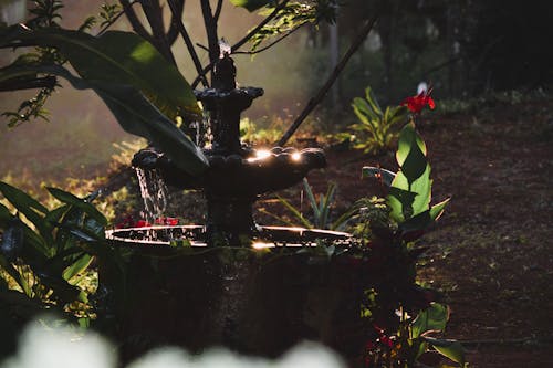 Darmowe zdjęcie z galerii z czcionka, fontanna, kropla wody