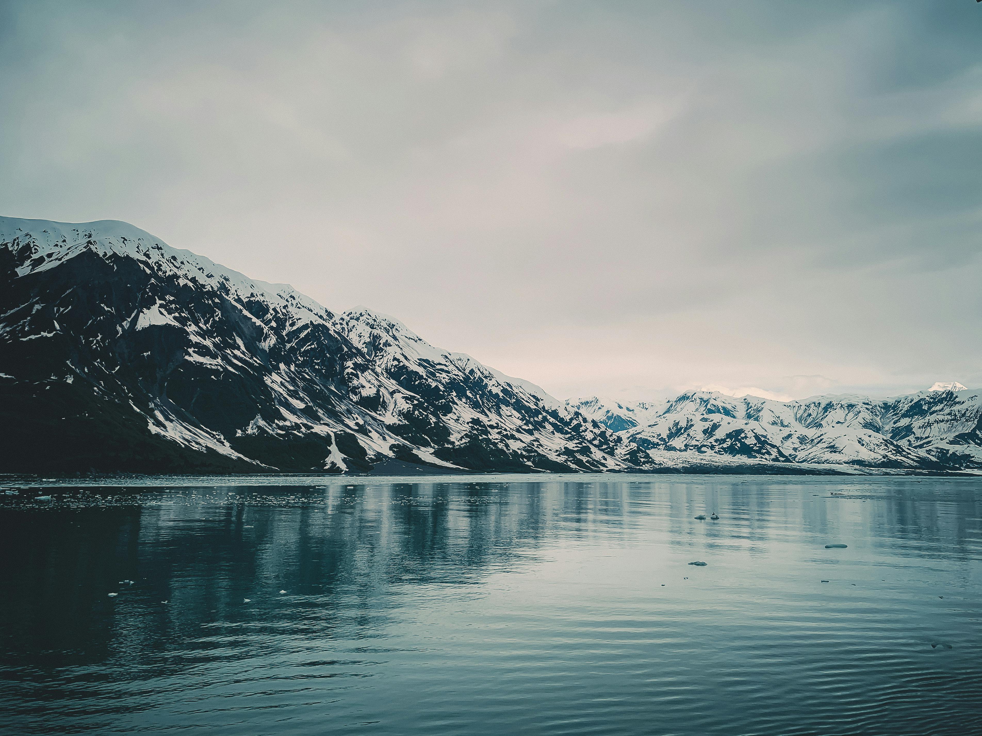 Alaska attorneys to provide free legal help on MLK Day holiday — Photo by Vinicius A. Nascimento on Pexels