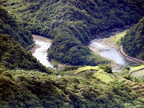 Fotos de stock gratuitas de arroyo de montaña, curva cerrada, curva de horquilla