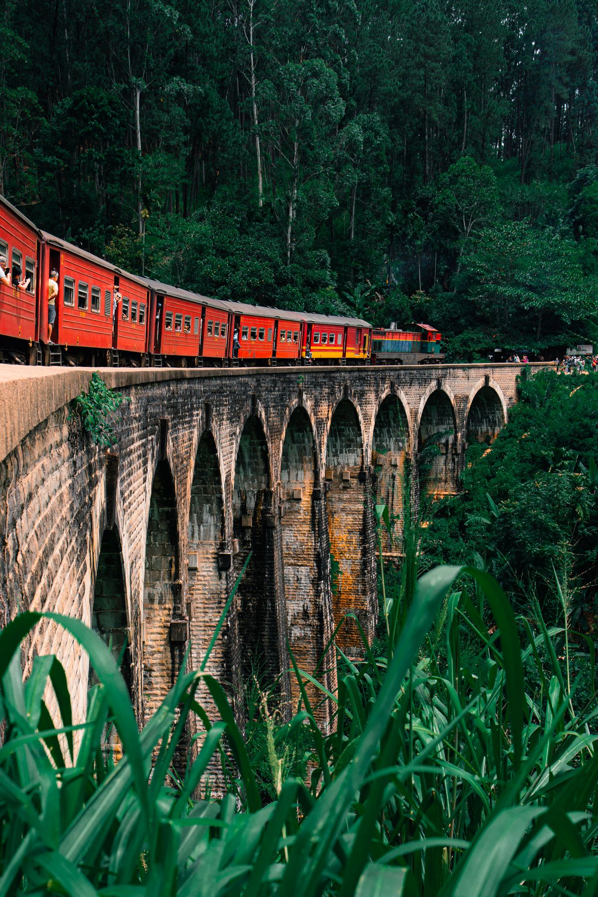 Ella & the Tea Country Express