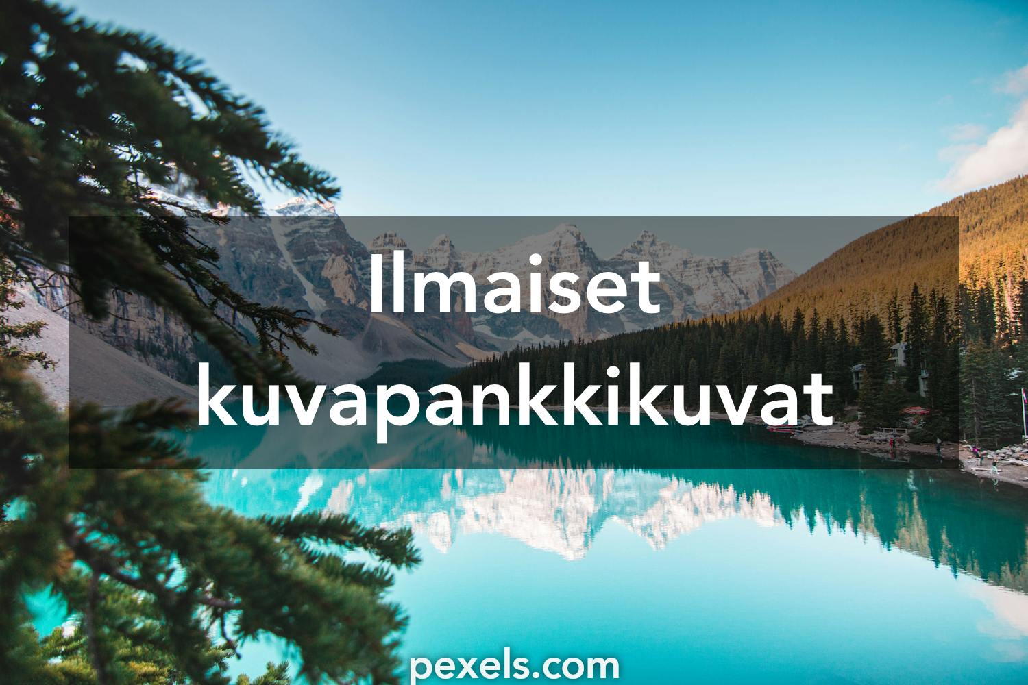 100 000+ parasta kuvaa aiheesta Maisema · Täysin ilmainen lataus ·  Pexels-kuvituskuvapankkikuvat