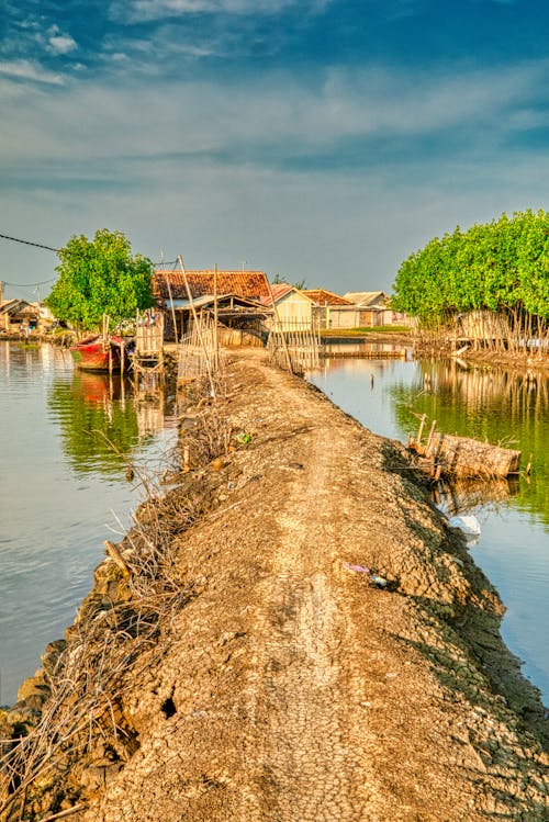 Foto Di Pathway Near River