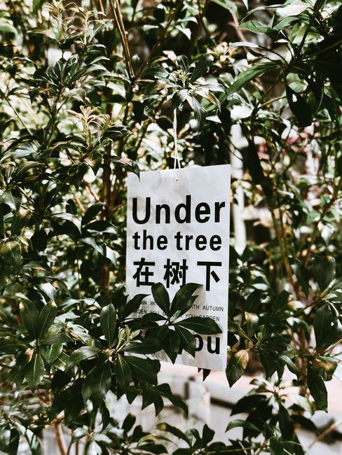 Detailed view of a bilingual sign hanging among tree branches outdoors.