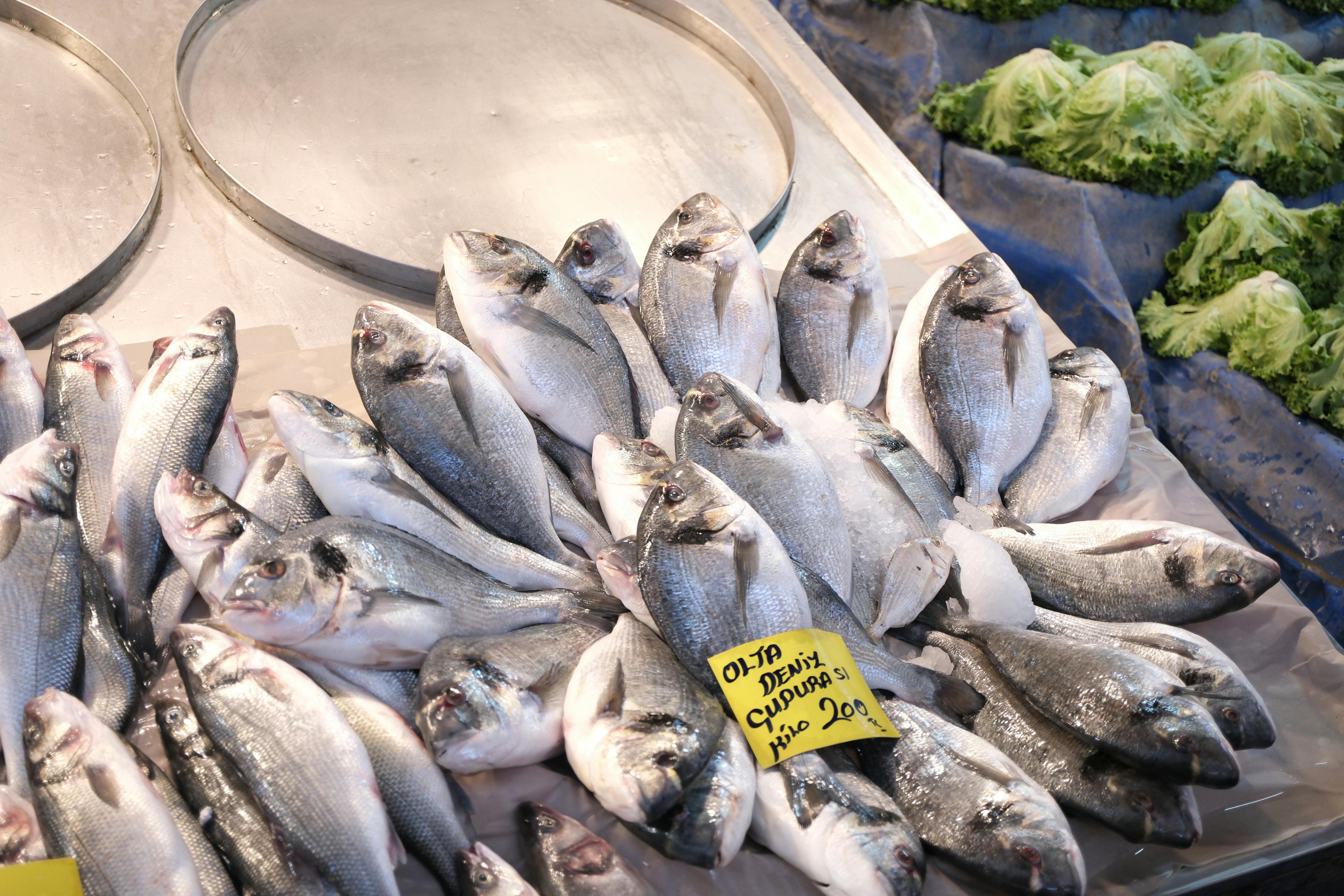 Fresh sea bass displayed on ice at Izmir market stall with lettuce background.