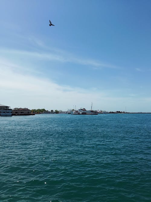 Foto profissional grátis de água, azul, balsa