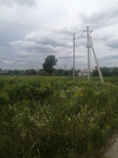 Fotos de stock gratuitas de afuera, al aire libre, campo