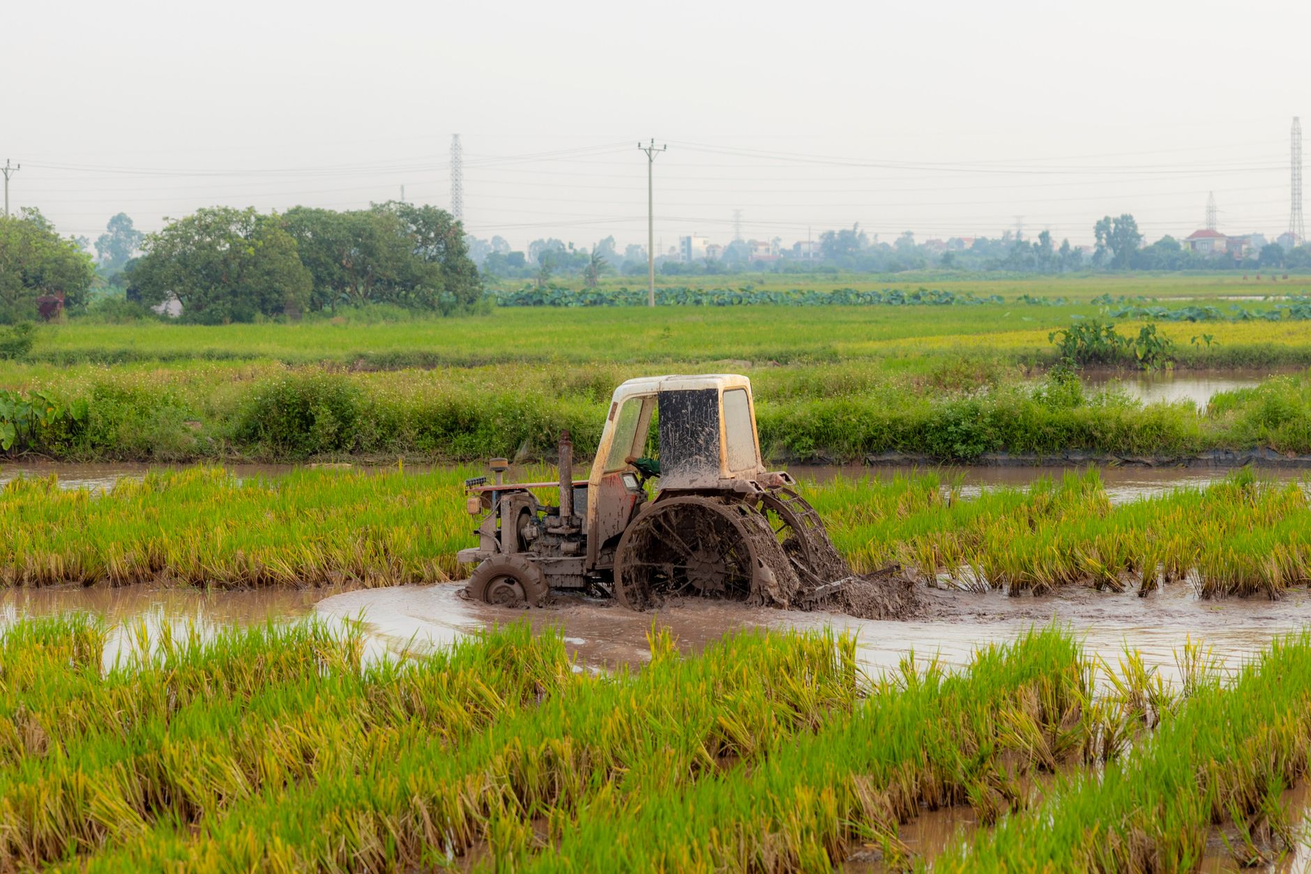 A tractor plowing through a muddy rice field in the countryside, showcasing agriculture.