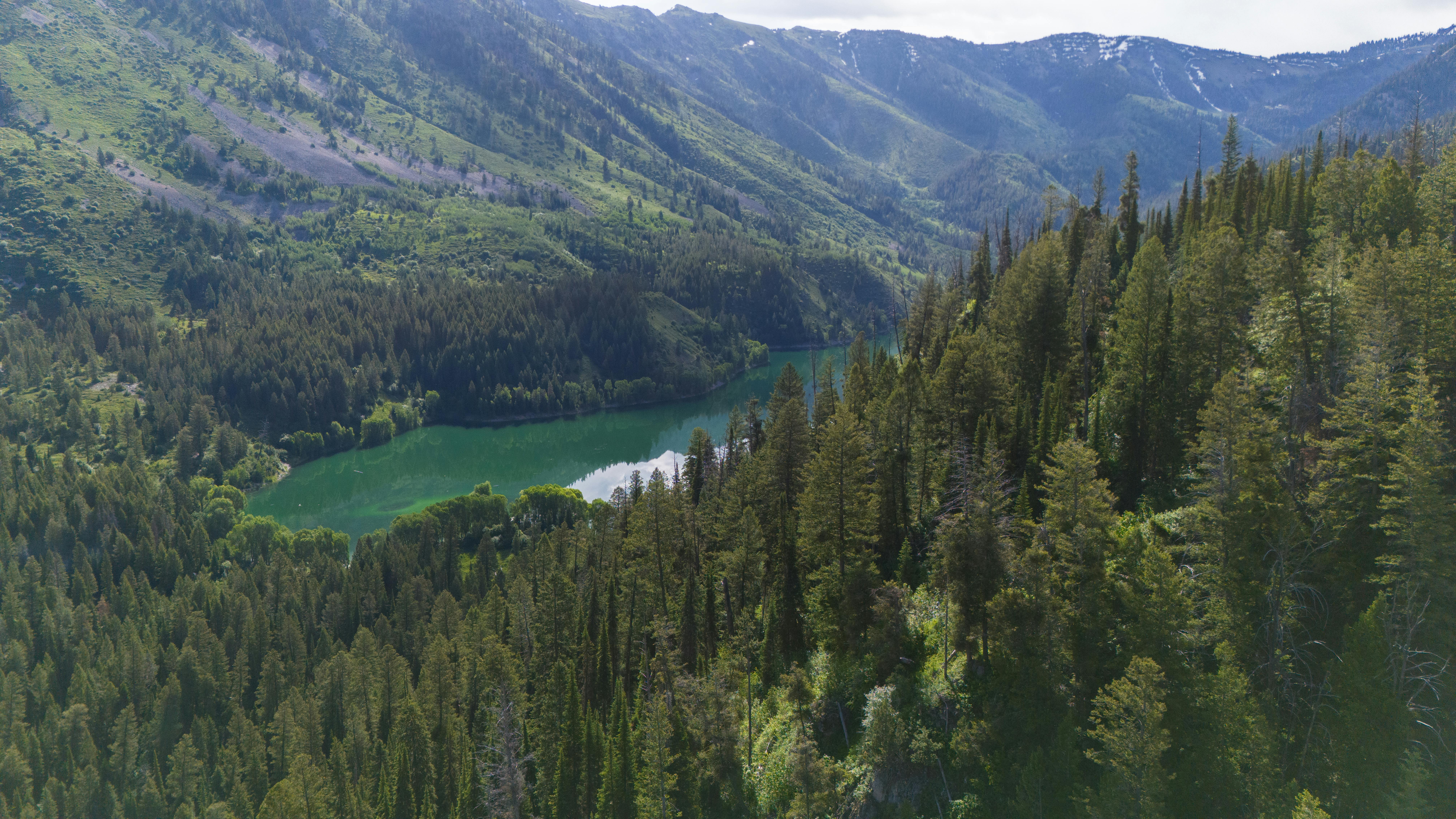 Idaho lawmakers eye reforms to child custody laws — Photo by Alex Moliski on Pexels