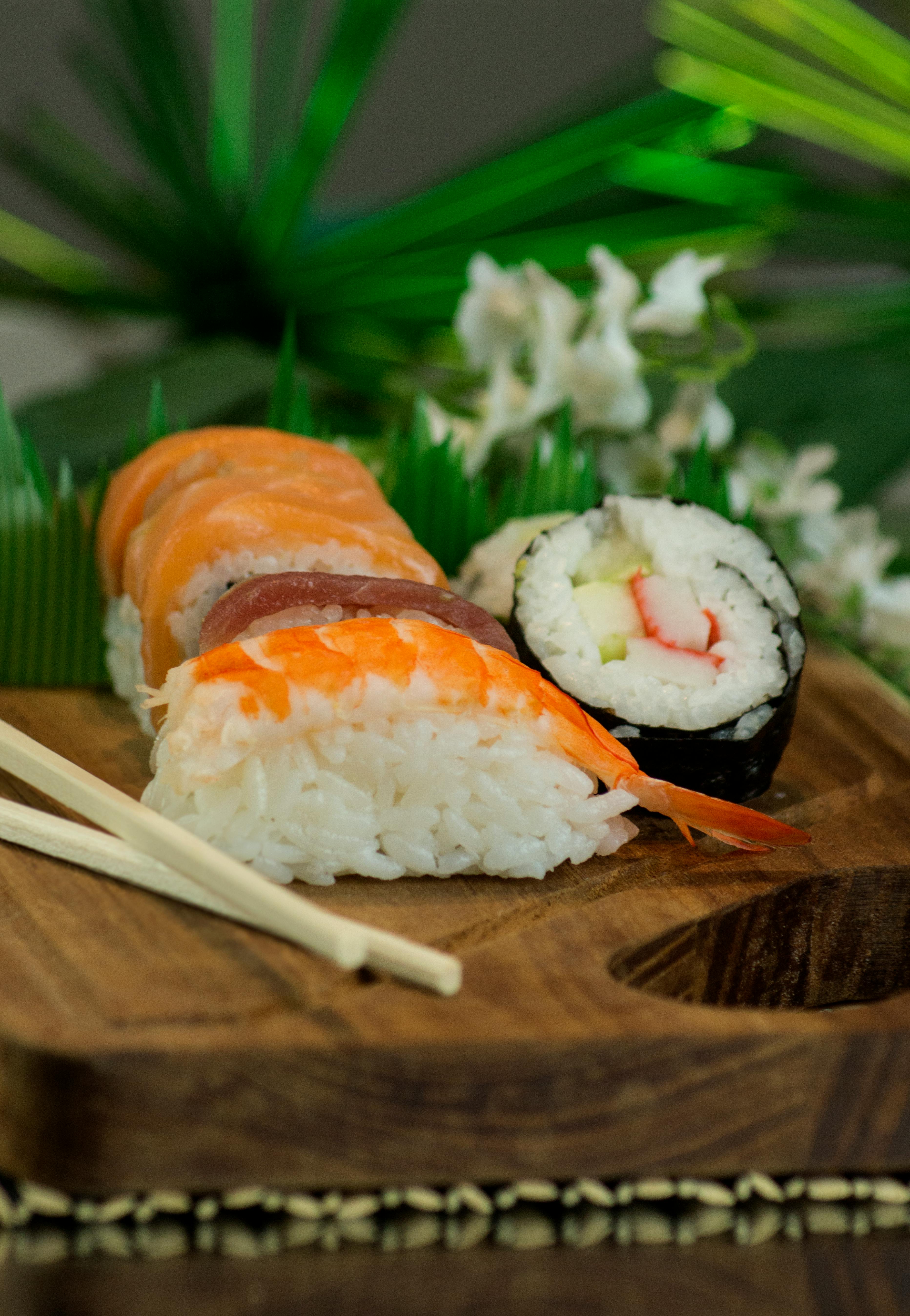 Salmon Nigiri and Sashimi