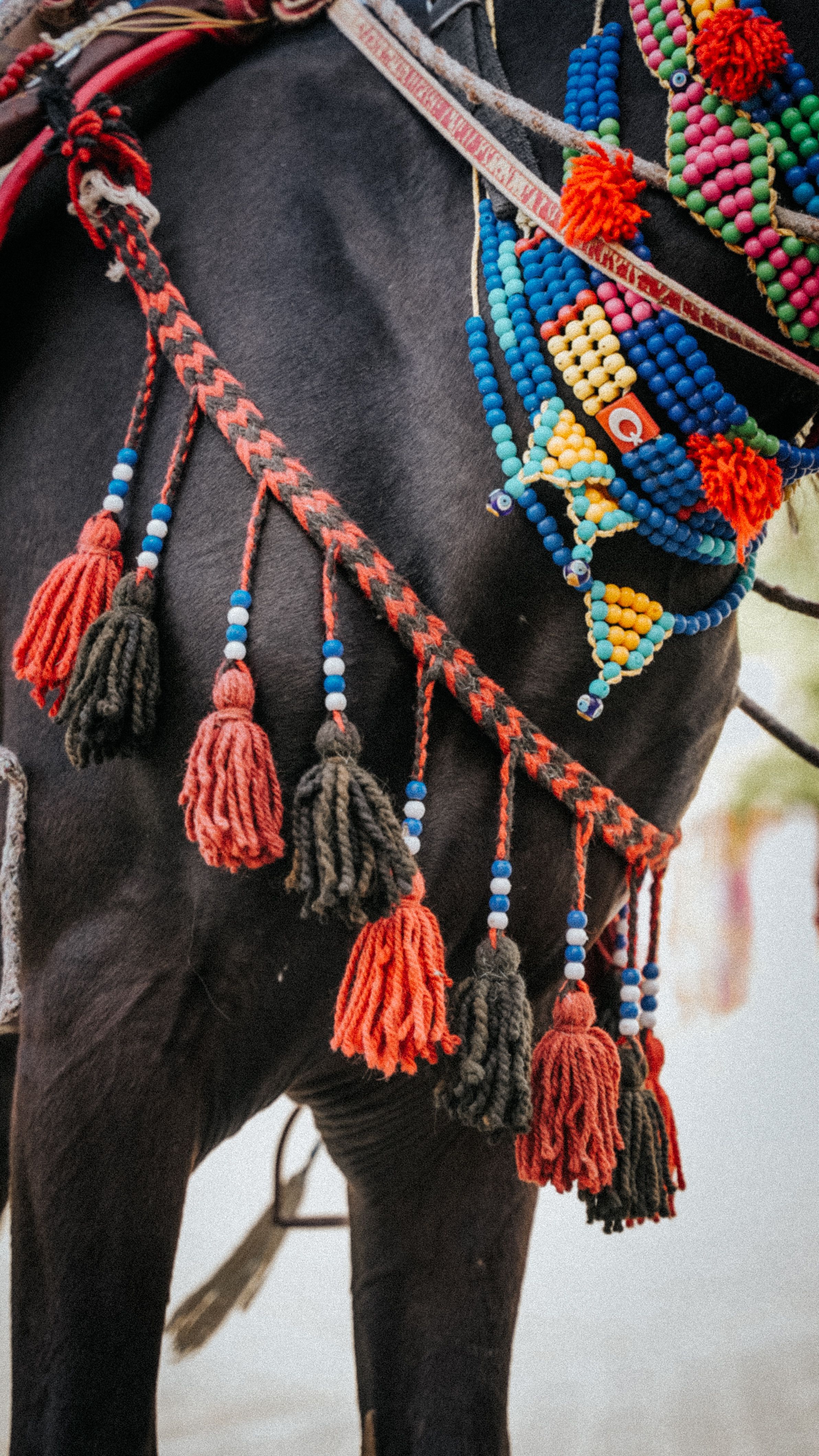 Close-up of a horse with colorful bead decorations, showcasing rural cultural charm.