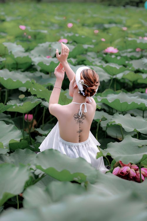 Fotos de stock gratuitas de al aire libre, amor, Boda