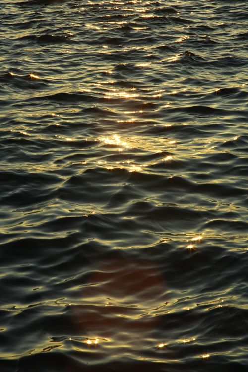 Free A serene view of golden sunlight reflecting off gentle ocean waves during sunset. Stock Photo