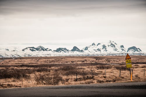 Kostenloses Stock Foto zu brown, scenery