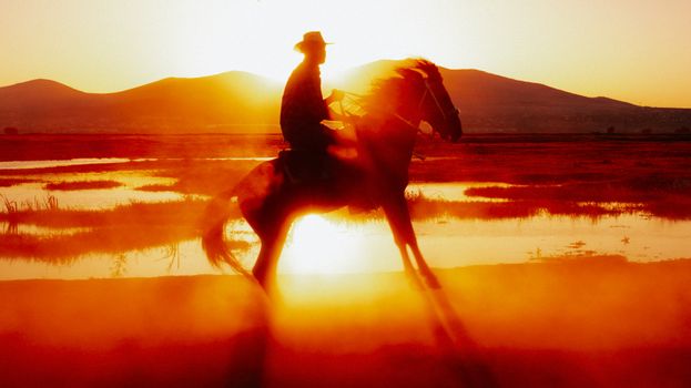 Silhouette of a man riding a horse at sunset in Kayseri, Türkiye.