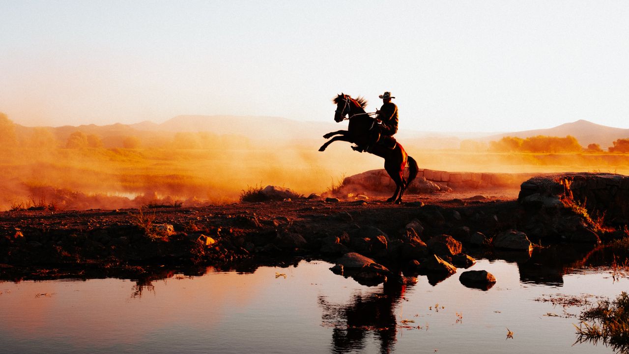dramatic silhouette of a horse and rider during sunset in kayseri t rk