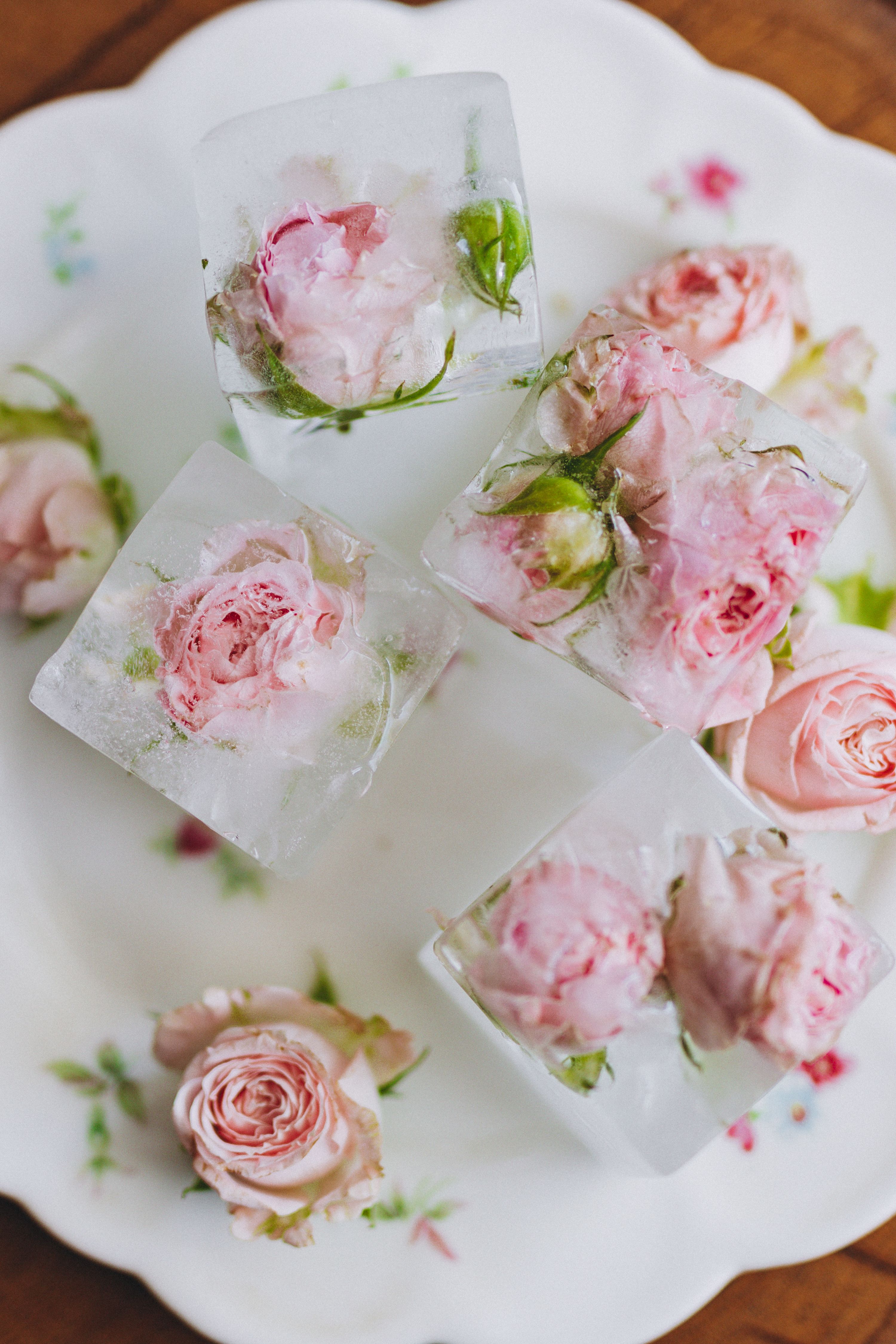 Ice Cubes with Pink Roses · Free Stock Photo