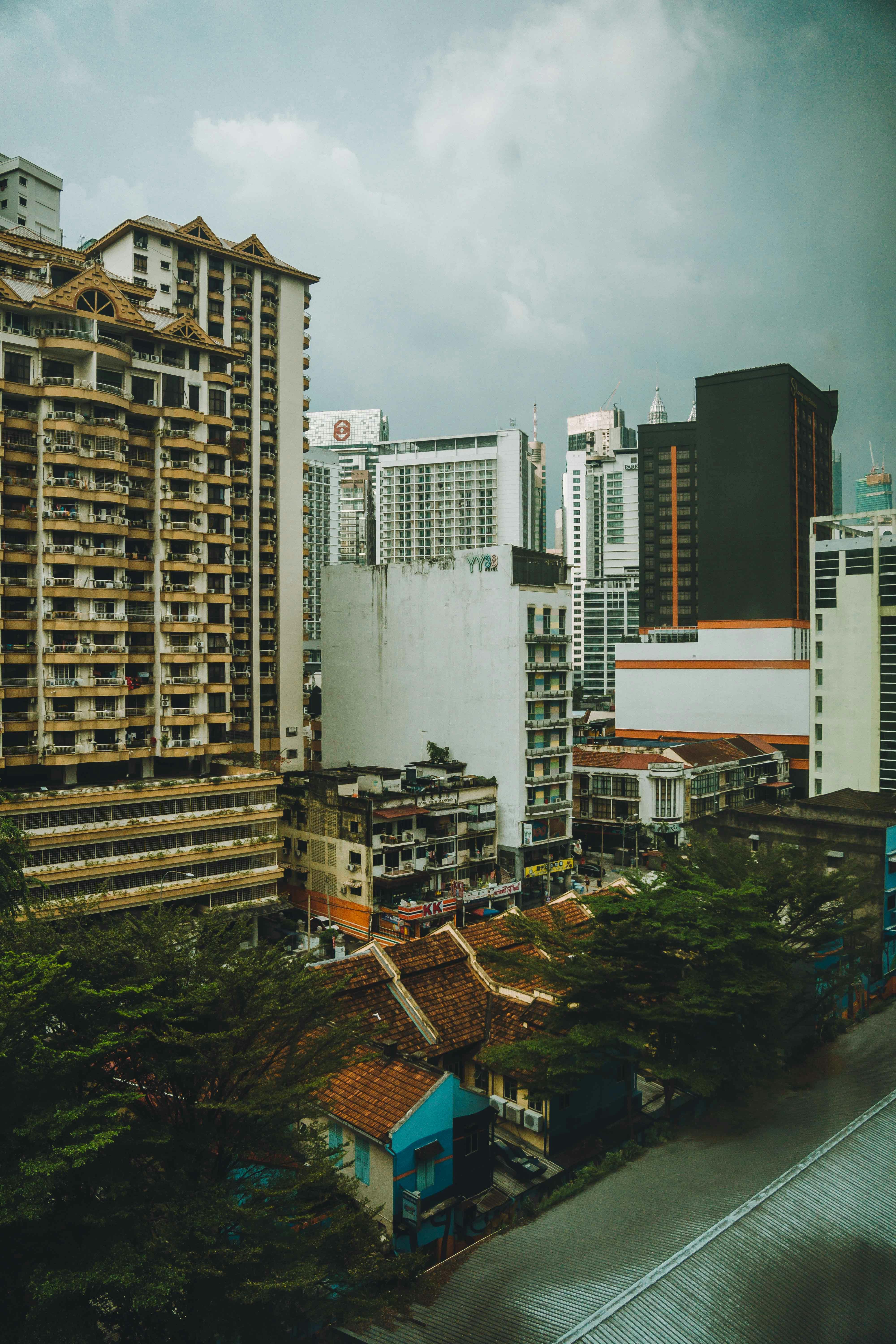 Malaysian Wonder - Image 3