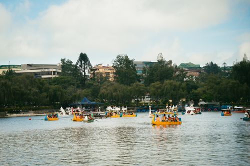 Free People enjoying colorful swan boats on a scenic city lake amidst lush greenery. Stock Photo