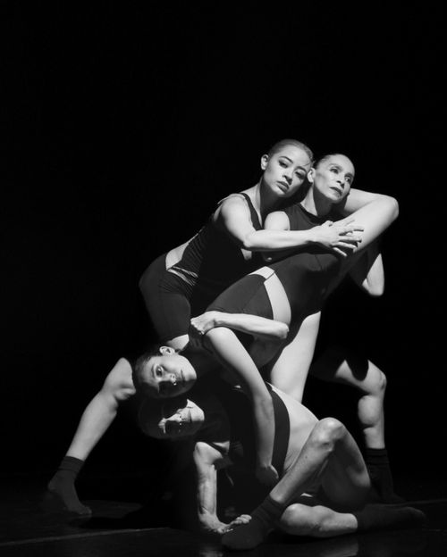 Free Artistic black and white photo of dancers showcasing movement in a studio setting. Stock Photo