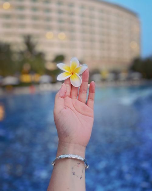 Free Close-up of a hand holding a plumeria flower by a swimming pool. Perfect for summer themes. Stock Photo