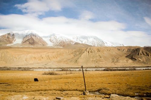 Free stock photo of china, kashgar, tashkurgan