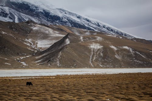 Free stock photo of china, kashgar, tashkurgan