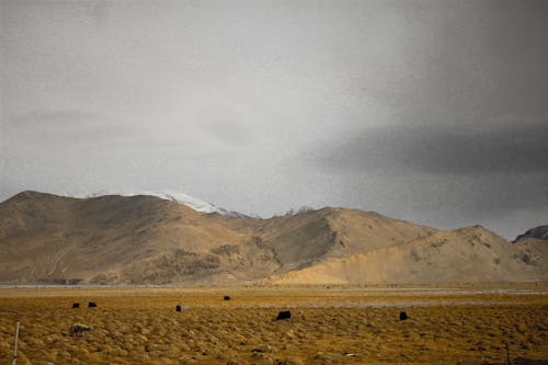 Free stock photo of china, kashgar, tashkurgan