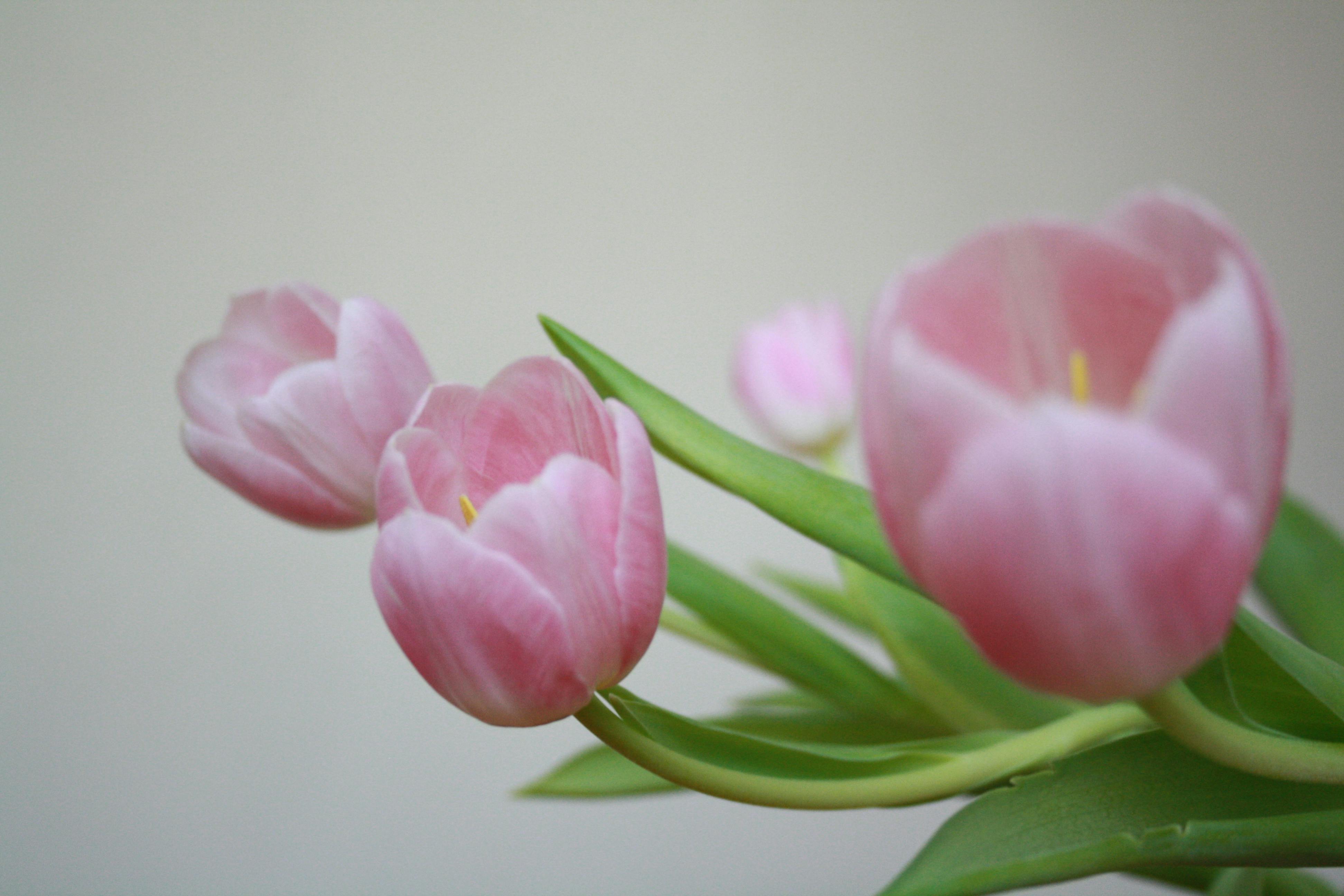 Ductwork (GI / Stainless)