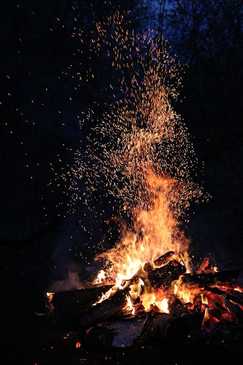 Imagine de stoc gratuită din arde, ardere, ars