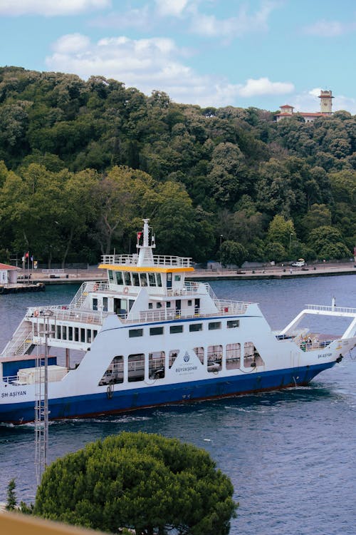 A ferry boat is docked in a harbor