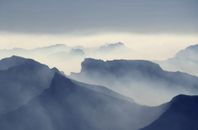 Gray Mountain