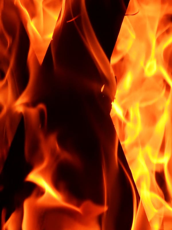 Participants comparing plated food samples