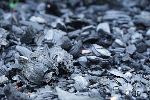 The Versatile Benefits of Charcoal: A Wellness Perspective