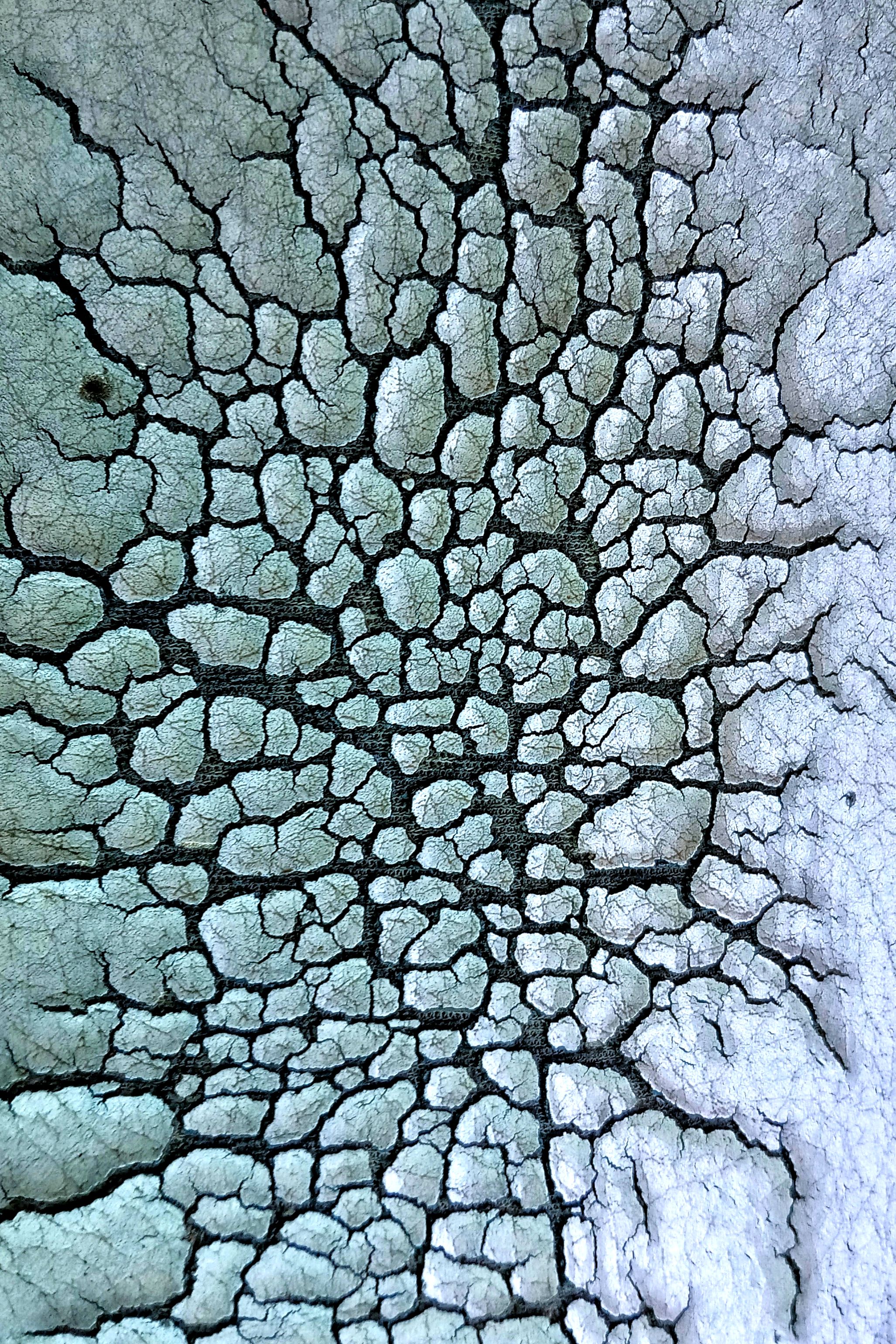 Fotomural Fotolia