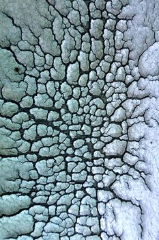 High-resolution close-up of cracked earth texture in West Java, Indonesia.