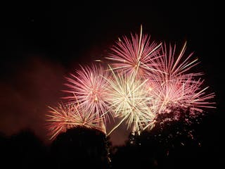 Thumbnail for article about the SEO