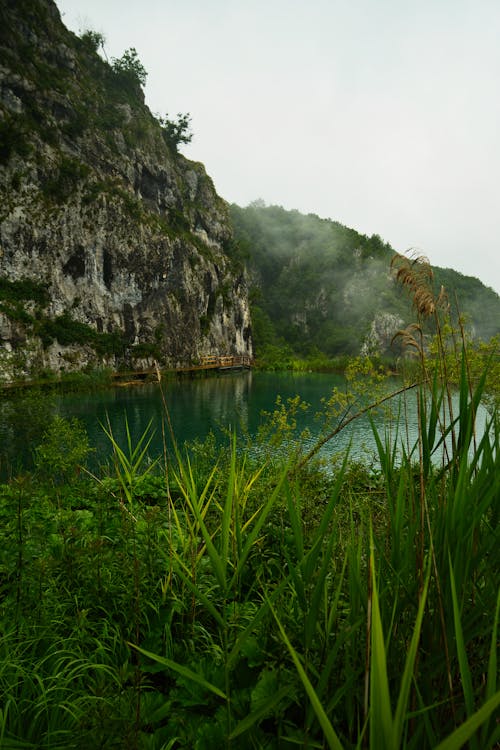 Foto d'estoc gratuïta de a l'aire lliure, aigua, alba