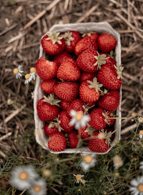 A basket of strawberries sitting on top of a field of flowers