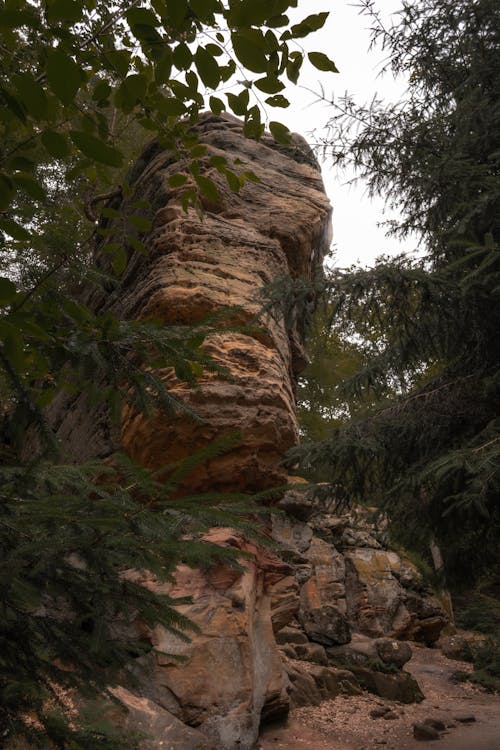 A rock formation in the woods with trees