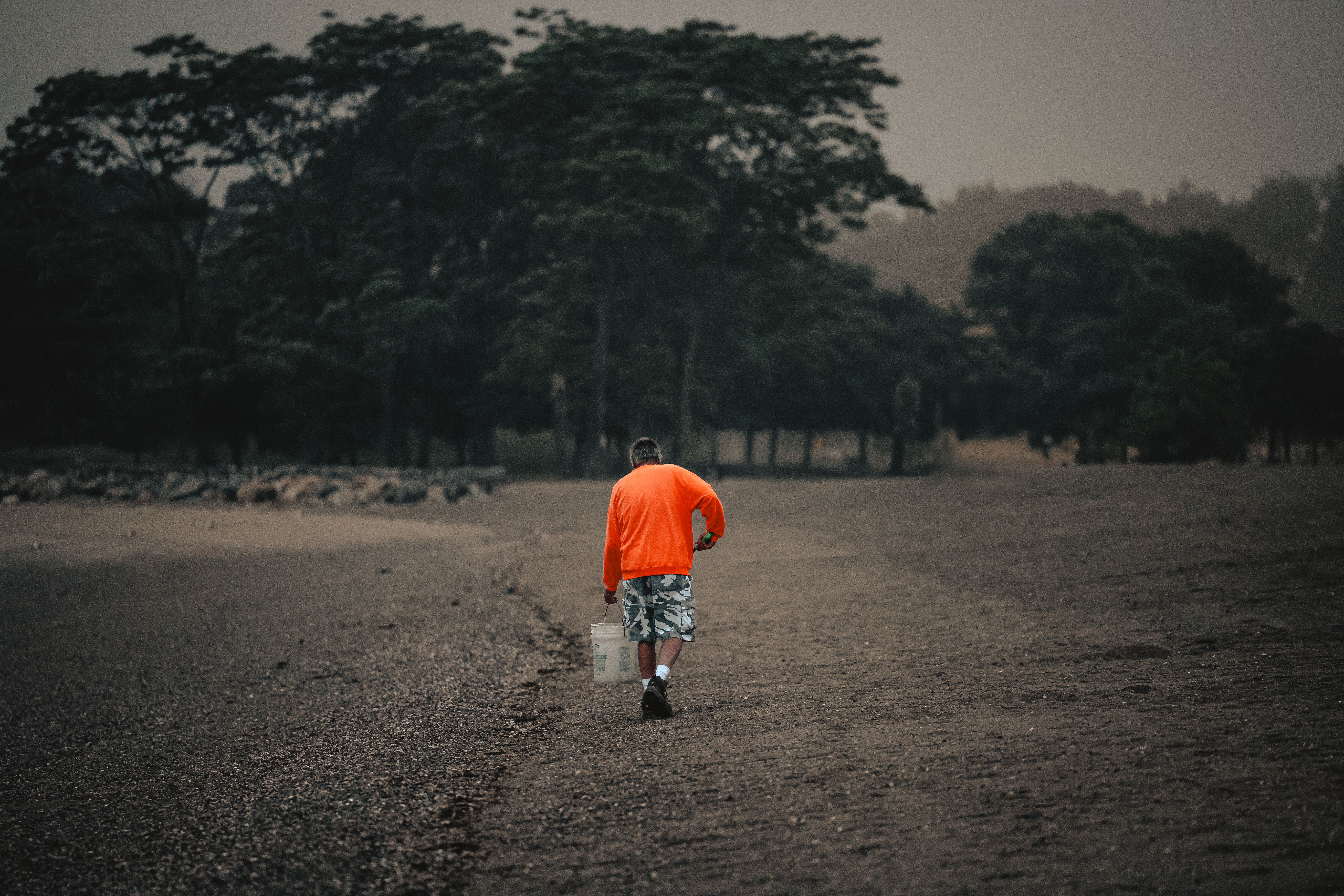 Back View of a Man Walking on a Field · Free Stock Photo