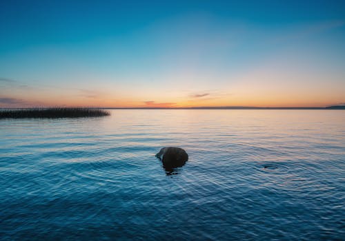 A rock in the water at sunset