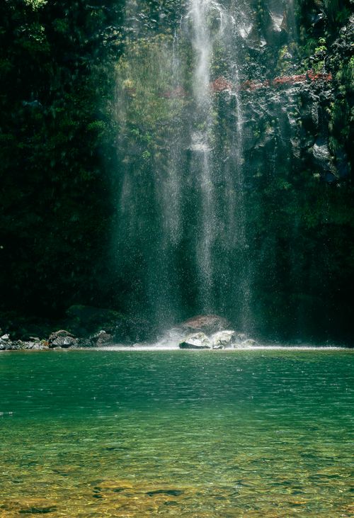 Free A tranquil waterfall cascading into a crystal-clear pool amidst lush greenery. Stock Photo