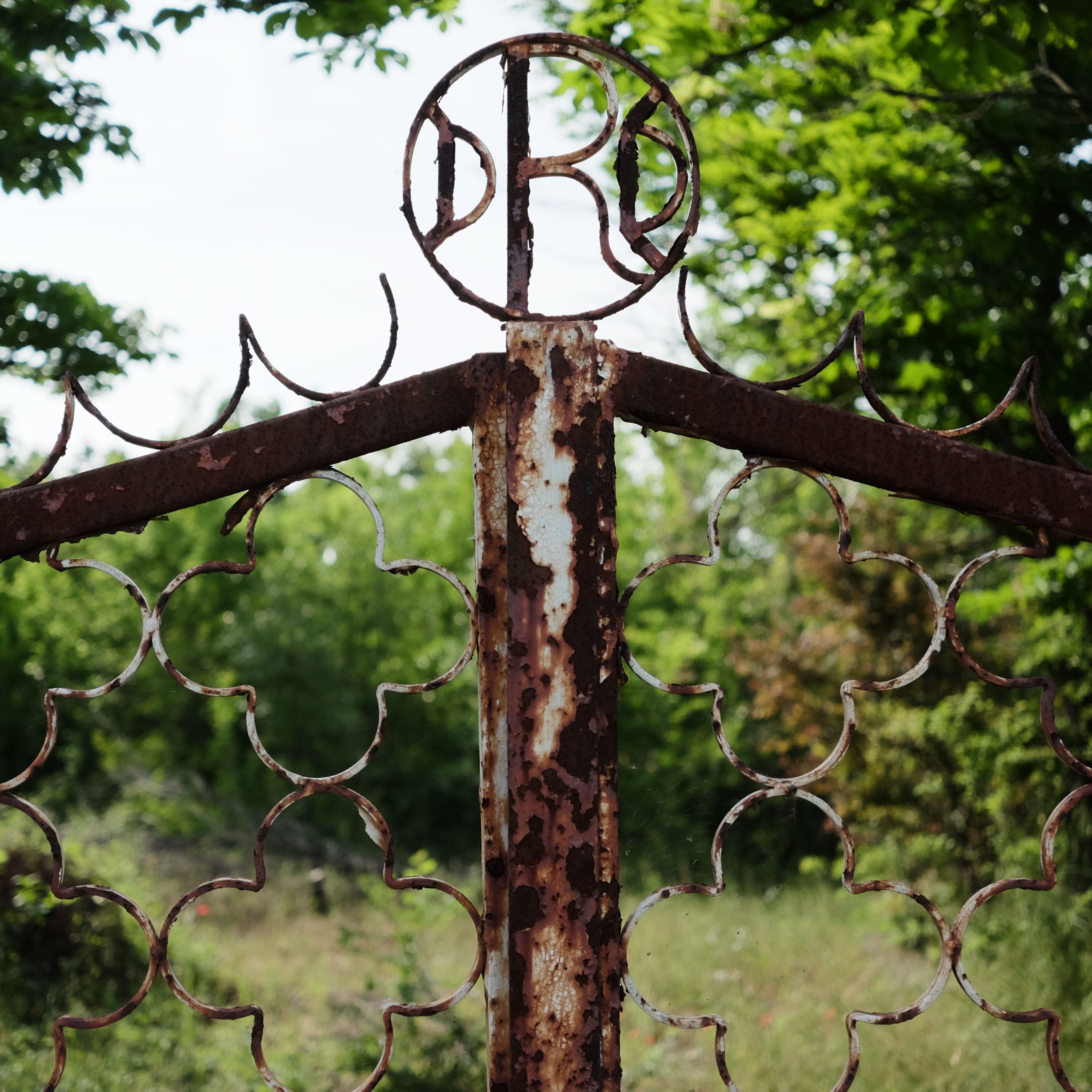 An old, rusty gate with intricate designs set in a vibrant green forest during the day.