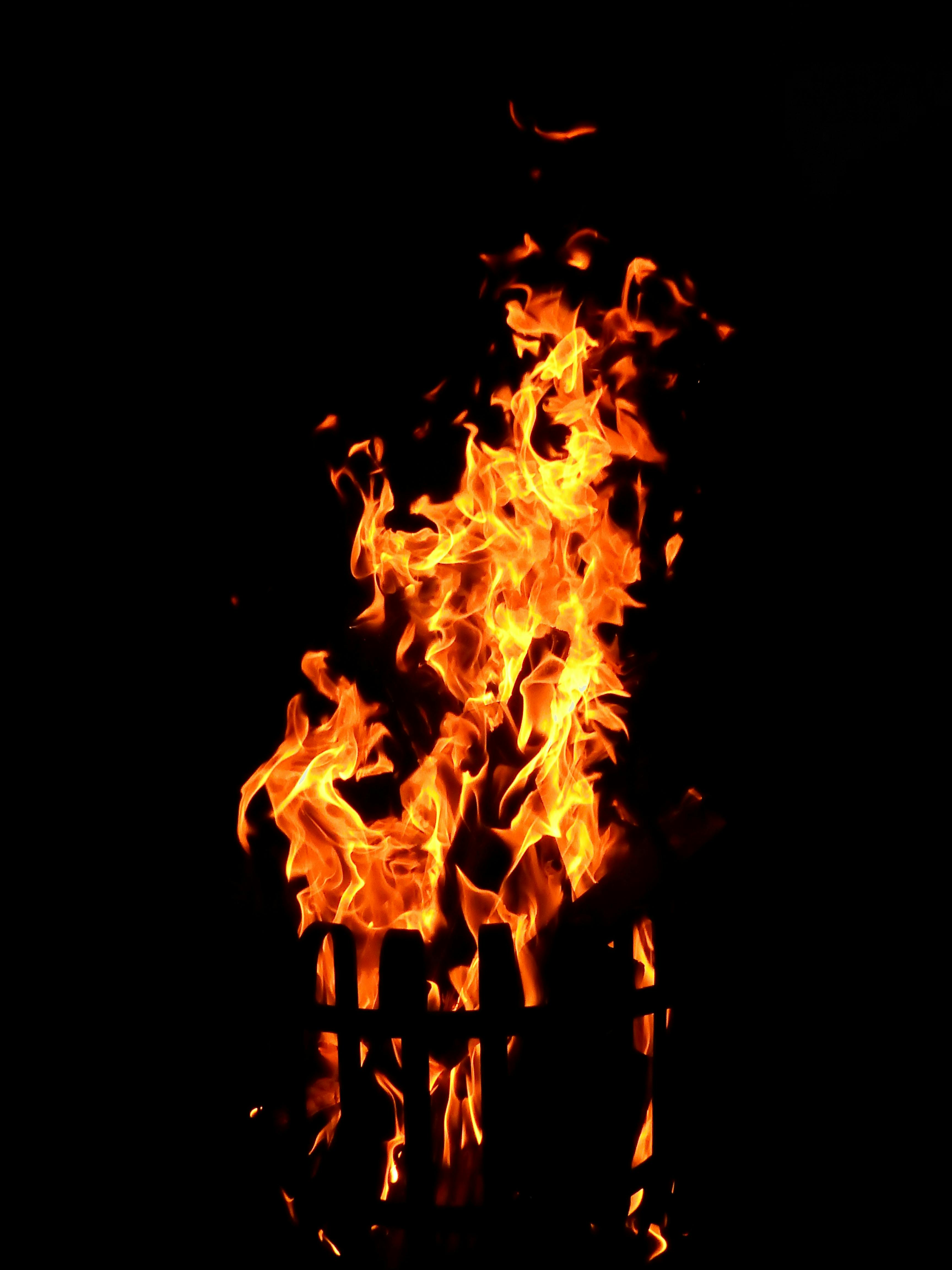 Free stock photo of background, barbecue, bbq