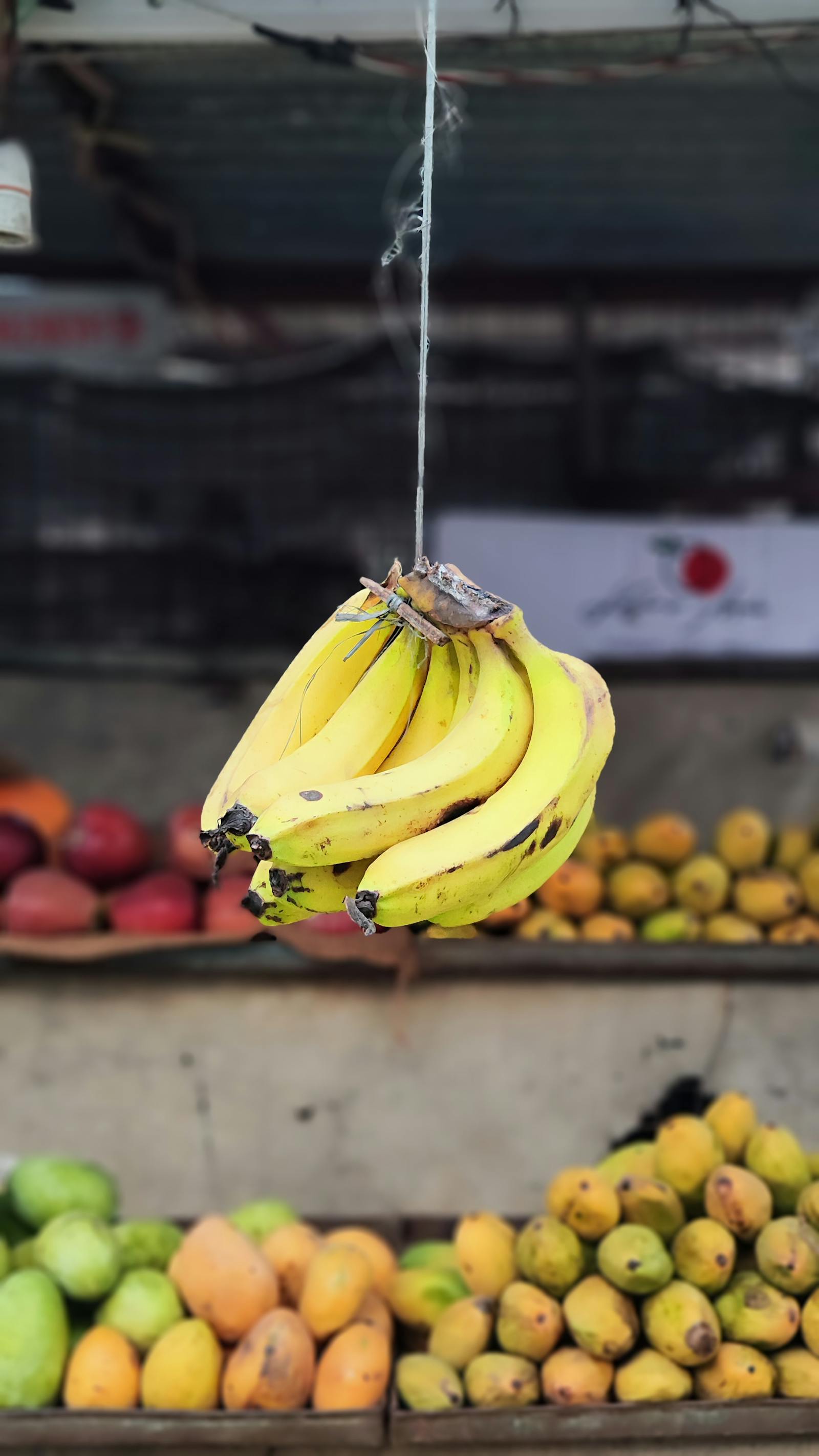 String Cluster Photos, Download The BEST Free String Cluster Stock ...